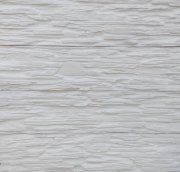 Slanec_sayanski_0100_bel