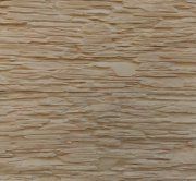 Slanec_sayanski_0102_bej