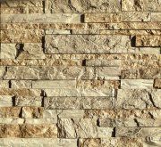 slanec_karpatski_1402G