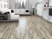 Петри (Дизайн №1)