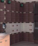 Олегро вид 2