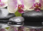 Настенное декоративное панно (4) Азалия Орхидея 350x250мм