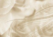 настенное декоративное панно (4) Богема Роза бежевый 350x250мм