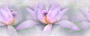 Настенная декоративная плитка (1) Лотос сиреневый 500x200мм