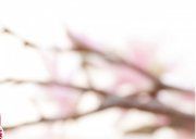 Настенное декоративное панно (2) Рондо Камешки черный 350x250мм