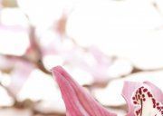 Настенное декоративное панно (1) Рондо Камешки черный 350x250мм