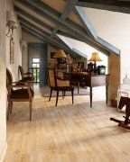 Свалбард (svalbard) 1