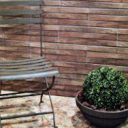 Антарес (Antares)