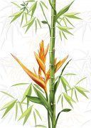 Настенная декоративная плитка (2) Джангл 250x350мм