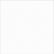 Напольная плитка Моно белый 333x333мм