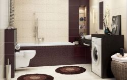 Танака (Tanaka) - коллекционная керамическая плитка Церсанит (Сersanit) images/phocagallery/keramicheskaya_plitka/cersanit/tanaka/int/798101b88d6e14daa748d854d2b4f0f8.jpg