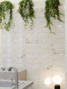 Капитоль (Capitol)