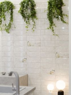 Капитоль (Capitol) - коллекционная керамическая плитка InterCerama