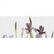 Настенное декоративное панно (1) Ирис 500x200мм