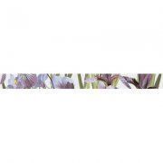 Фриз Ирис 500x47мм