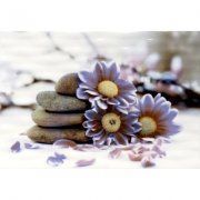 Настенное декоративное панно (3) Примавера 400x275мм