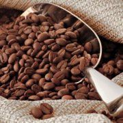 Настенная декоративная плитка (1) Акварель Кофе 200x200мм