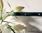 Каррара (Дизайн № 5)