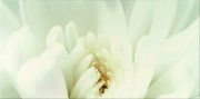 Настенная декоративная плитка Диаго Inserto Flower C 297x600мм