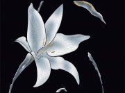 Настенная декоративная плитка Андромеда D654а черный 440x330мм