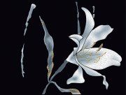 Настенная декоративная плитка Андромеда D654d черный 440x330мм