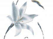 Настенная декоративная плитка Андромеда D653а белый 440x330мм