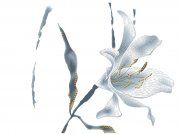 Настенная декоративная плитка Андромеда D653d белый 440x330мм