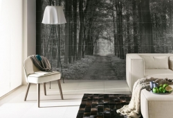 Ол ин уайт (All in white) - коллекционная керамическая плитка Тубадзин (Tubadzin) images/phocagallery/keramicheskaya_plitka/tubadzin/all-in-white/int/las-duzy.jpg