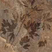 Денвер 4Д 400x400