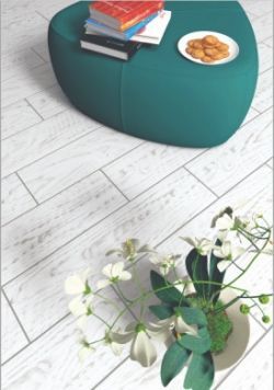 Бёрн images/phocagallery/news/bereza-novinki/Bern/int/64f3f321.jpg